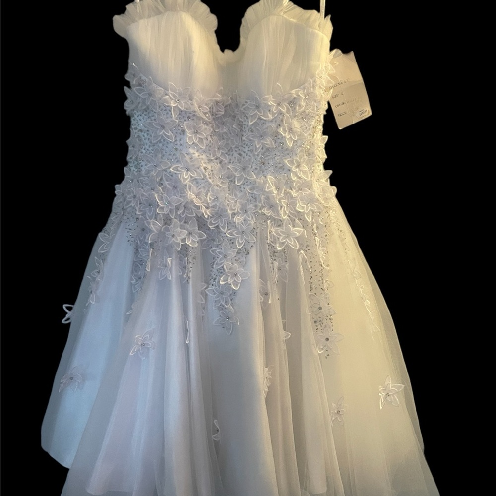 Cinderella brand bridal/special occasion dress